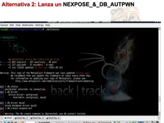 Alternativa 2: Lanza un NEXPOSE_&_DB_AUTPWN
 