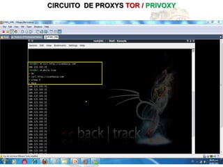 CIRCUITO DE PROXYS TOR / PRIVOXY
 