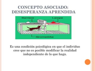 CONCEPTO ASOCIADO:  DESESPERANZA APRENDIDA Es una condición psicológica en que el individuo cree que no es posible modificar la realidad independiente de lo que haga. 