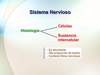 Sistema Nervioso Histología Células Sustancia intercelular - Es abundante - Alta proporción de lípidos - Contiene fibras n...