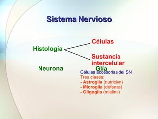 Sistema Nervioso Histología Células Sustancia intercelular Neurona Glía Células accesorias del SN Tres clases: - Astroglía...