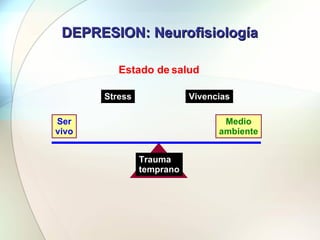 DEPRESION: Neurofisiología Estado de salud Salud Medio ambiente Ser vivo Stress Trauma temprano Vivencias 