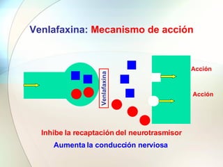 Venlafaxina:  Mecanismo de acción Inhibe la recaptación del neurotrasmisor Venlafaxina Aumenta la conducción nerviosa Acci...