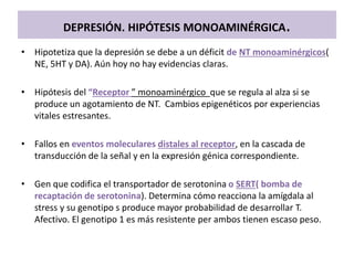DEPRESIÓN. HIPÓTESIS MONOAMINÉRGICA.
• Hipotetiza que la depresión se debe a un déficit de NT monoaminérgicos(
NE, 5HT y DA). Aún hoy no hay evidencias claras.
• Hipótesis del “Receptor ” monoaminérgico que se regula al alza si se
produce un agotamiento de NT. Cambios epigenéticos por experiencias
vitales estresantes.
• Fallos en eventos moleculares distales al receptor, en la cascada de
transducción de la señal y en la expresión génica correspondiente.
• Gen que codifica el transportador de serotonina o SERT( bomba de
recaptación de serotonina). Determina cómo reacciona la amígdala al
stress y su genotipo s produce mayor probabilidad de desarrollar T.
Afectivo. El genotipo 1 es más resistente per ambos tienen escaso peso.
 