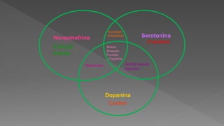 Norepinefrina
Energía
Interés
Serotonina
Impulsos
Dopanina
Control
Ánimo
Emoción
Función
Cognitiva
Ansiedad
Irritabilidad
Motivación Apetito Sexual
Agresión
 