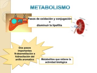 Pasos de oxidación y conjugación
                         =
                disminuir la lipofilia




    Dos pasos
   importantes
N-desmetilación e
hidroxilación del
 anillo aromatico   Metabolitos que retiene la
                       actividad biológica
 