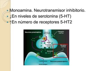  Monoamina. Neurotransmisor inhibitorio.
 ↓En niveles de serotonina (5-HT)
 ↑En número de receptores 5-HT2
 