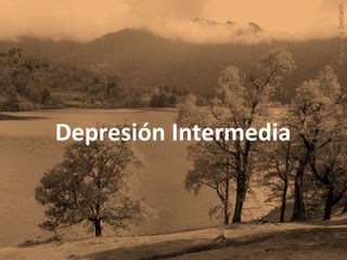 Depresión Intermedia
 