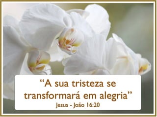“A sua tristeza se
transformará em alegria”
Jesus - João 16:20
 