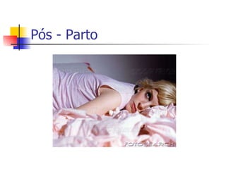 Pós - Parto 