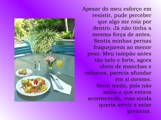 Apesar do meu esforço em resistir, pude perceber que algo me roía por dentro. Já não tinha a mesma força de antes. Sentia minhas pernas fraquejarem ao menor peso. Meu tampão antes tão belo e forte, agora cheio de manchas e rabiscos, parecia afundar em si mesmo. Senti medo, pois não sabia o que estava acontecendo, mas ainda queria servir e estar presente. 