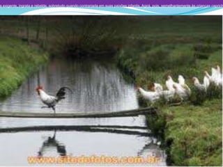 a exigente, ingrata e rebelde, sobretudo quando contrariada em suas paixões infantis. Agirá, pois, semelhantemente às crianças caprich
 