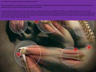 A criatura erra por ignorância ou por fraqueza moral.
Enquanto ignorante, o ser agirá mais ou menos arrastado por impulsos primários, encontrando no erro a oportunidade de aquisição de
conhecimento, de experiência, de discernimento, de lucidez.
E, mesmo quando adquire um certo conhecimento, enquanto permanecer moralmente débil, o ser poderá persistir no erro, quando,
então, através da dor superlativa que advirá da conduta equivocada, desenvolverá ampla experiência. Através das dores que se seguirão aos
erros sucessivos, fixará o aprendizado para sempre. Perceberá que a dor é conseqüência da atitude infeliz e que dele unicamente depende,
pela conduta melhor, fazer que a dor cesse.
 