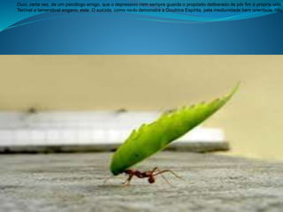 .Ouvi, certa vez, de um psicólogo amigo, que o depressivo nem sempre guarda o propósito deliberado de pôr fim à própria vida.
Terrível e lamentável engano, este. O suicida, como no-lo demonstra a Doutrina Espírita, pela mediunidade bem orientada, não
 