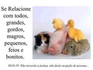 Se Relacione
com todos,
grandes,
gordos,
magros,
pequenos,
feios e
bonitos.
Dt16:19 Não torcerás a justiça, não farás acepção de pessoas...

 