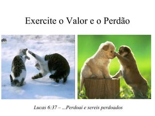 Exercite o Valor e o Perdão

Lucas 6:37 – ...Perdoai e sereis perdoados

 