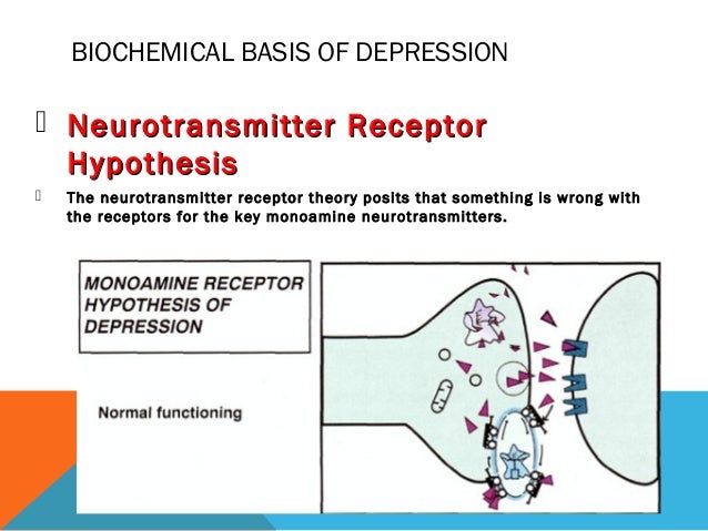monoamine theory of depression Biology of depression from infogalactic: the planetary knowledge core the observation of this efficacy led to the monoamine hypothesis of depression, which postulates that the deficit of certain neurotransmitters is responsible for the corresponding features of depression. monoamine theory of depression Biology of depression from infogalactic: the planetary knowledge core the observation of this efficacy led to the monoamine hypothesis of depression, which postulates that the deficit of certain neurotransmitters is responsible for the corresponding features of depression.