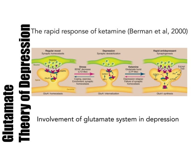 Molecular mechanism underlying Depression: The relationship between ...