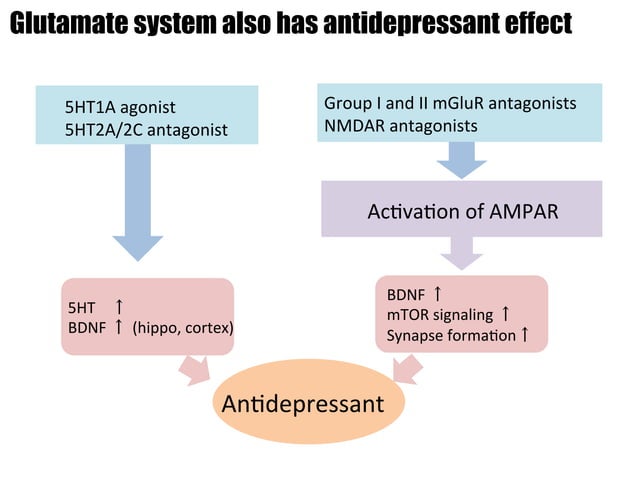 Molecular mechanism underlying Depression: The relationship between ...