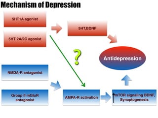 Molecular mechanism underlying Depression: The relationship between ...
