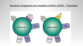 Serotonin antagonist and reuptake inhibitor (SARI) : Trazodone
 