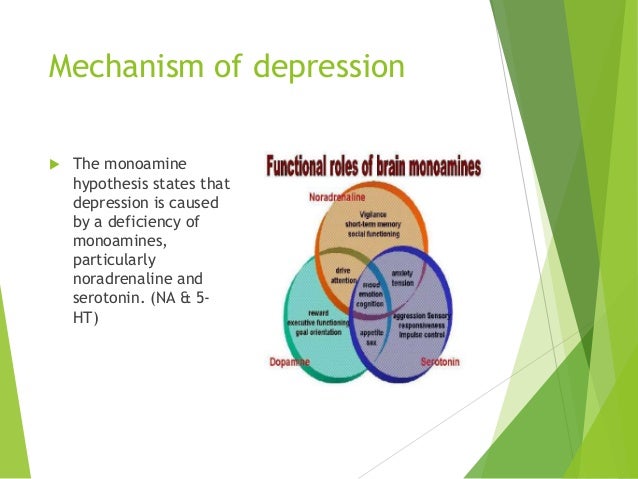 the monamine hypothesis of depression states that