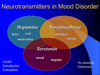 Neurotransmitters in Mood Disorder
Dopamine Norepinephrine
Serotonin
drive zeal
motivation
alertness
energy
mood
GABA
Enkephalins
Endorphins
Na channels
Glutamate
impulse
 
