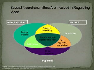 Stahl SM. Essential Psychopharmacology: Neuroscientific Basis and Practical Applications. 2nd
ed. Cambridge, UK: Cambridge University Press; 2000:152.
Norepinephrine Serotonin
Dopamine
Mood, emotion,
cognitive function
Motivation
Sex,
appetite,
aggression
Anxiety,
irritability
Energy,
interest
Impulsivity
Drive
Pleasure
 