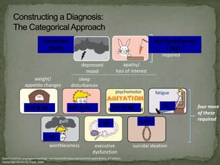 weight/
appetite changes
sleep
disturbances
psychomotor fatigue
worthlessness executive
dysfunction
suicidal ideation
four more
of these
requiredguilt
depressed
mood
apathy/
loss of interest
one of these
required
Stahl’s essential psycopharmacology: neuroscientific basis and practical applications, 3rd edition,
Cambridge University Press, 2008
Serotonin
(5HT)
Nor-Epinehprine
(NE)
5HT & NE5HT & NE5HT & NE NE
5 HTNE
5 HT
 