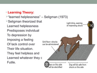 • Learning Theory:
“learned helplessness” – Seligman (1973)
Seligman theorized that
Learned helplessness
Predisposes individual
To depression by
Imposing a feeling
Of lack control over
Their life situation.
They feel helpless and
Learned whatever they do is
Futile.
 