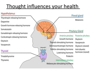 Thought influences your health
 