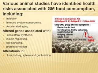Various animal studies have identified health
risks associated with GM food consumption,
including:
 Infertility
 Immune system compromise
 Accelerated aging
Altered genes associated with:
 cholesterol synthesis,
 insulin regulation,
 cell signaling,
 protein formation
Alterations in:
 liver, kidney, spleen and gut function
 