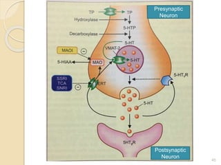 45
Presynaptic
Neuron
Postsynaptic
Neuron
 