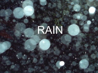 RAIN RAIN 