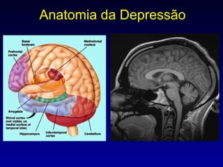 Anatomia da Depressão 