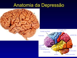 Anatomia da Depressão 