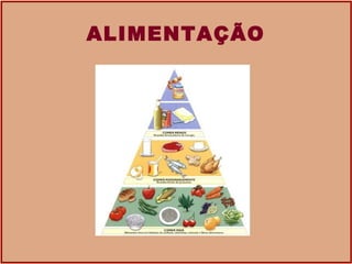 ALIMENTAÇÃO 