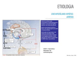 ETIOLOGIA
EIXOHIPOTÁLAMO-HIPÓFISE-
ADRENAL
(Belmaker e Agam, 2008)
Níveis de cortisol estão
aumentados em depressão grave e
também o tamanho da hipóﬁse
anterior e do cortex da adrenal.
Níveis aumentados de HCR no
líquor e da expresão gênica do HCR
no sistema límbico
Diminuição do hipocampo e do
número de neurônios e glia,
possivelmente devido à redução
na neurogênese devido a níveis
elevados de cortisol ou diminuição
de BDNF (fator neurotróﬁco).
HCR = Hormônio
liberador da
corticotropina
ESTRESSE
HCR
ACTH
CORTISOL
 