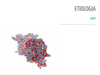 ETIOLOGIA
BDNF
 