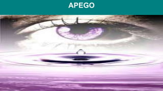 APEGO
 