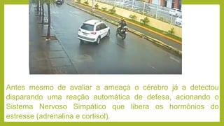Antes mesmo de avaliar a ameaça o cérebro já a detectou
disparando uma reação automática de defesa, acionando o
Sistema Nervoso Simpático que libera os hormônios do
estresse (adrenalina e cortisol).
 