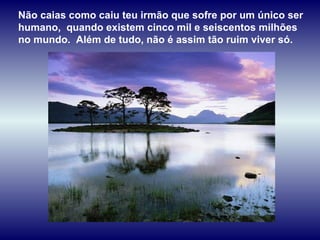 Não caias como caiu teu irmão que sofre por um único ser  humano,  quando existem cinco mil e seiscentos milhões no mundo.  Além de tudo, não é assim tão ruim viver só. 