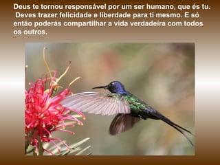 Deus te tornou responsável por um ser humano, que és tu.
Deves trazer felicidade e liberdade para ti mesmo. E só
então poderás compartilhar a vida verdadeira com todos
os outros.
 