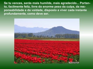 Se tu vences, serás mais humilde, mais agradecido... Portan-
to, facilmente feliz, livre do enorme peso da culpa, da res-
ponsabilidade e da vaidade, disposto a viver cada instante
profundamente, como deve ser.
 