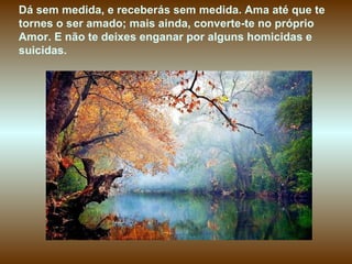Dá sem medida, e receberás sem medida. Ama até que te
tornes o ser amado; mais ainda, converte-te no próprio
Amor. E não te deixes enganar por alguns homicidas e
suicidas.
 