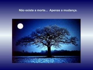 Não existe a morte... Apenas a mudança.
 