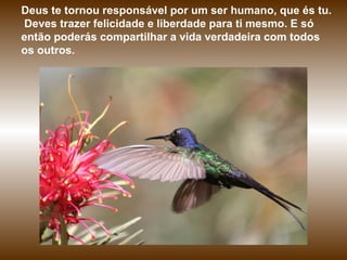 Deus te tornou responsável por um ser humano, que és tu.
Deves trazer felicidade e liberdade para ti mesmo. E só
então poderás compartilhar a vida verdadeira com todos
os outros.
 