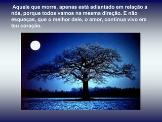 Aquele que morre, apenas está adiantado em relação a
nós, porque todos vamos na mesma direção. E não
esqueças, que o melhor dele, o amor, continua vivo em
teu coração.
 
