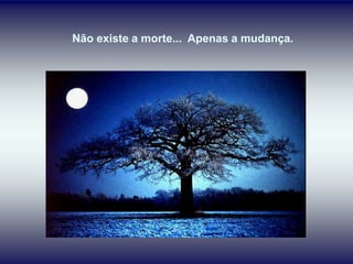 Não existe a morte... Apenas a mudança.
 