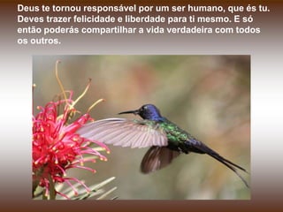 Deus te tornou responsável por um ser humano, que és tu.
Deves trazer felicidade e liberdade para ti mesmo. E só
então poderás compartilhar a vida verdadeira com todos
os outros.
 